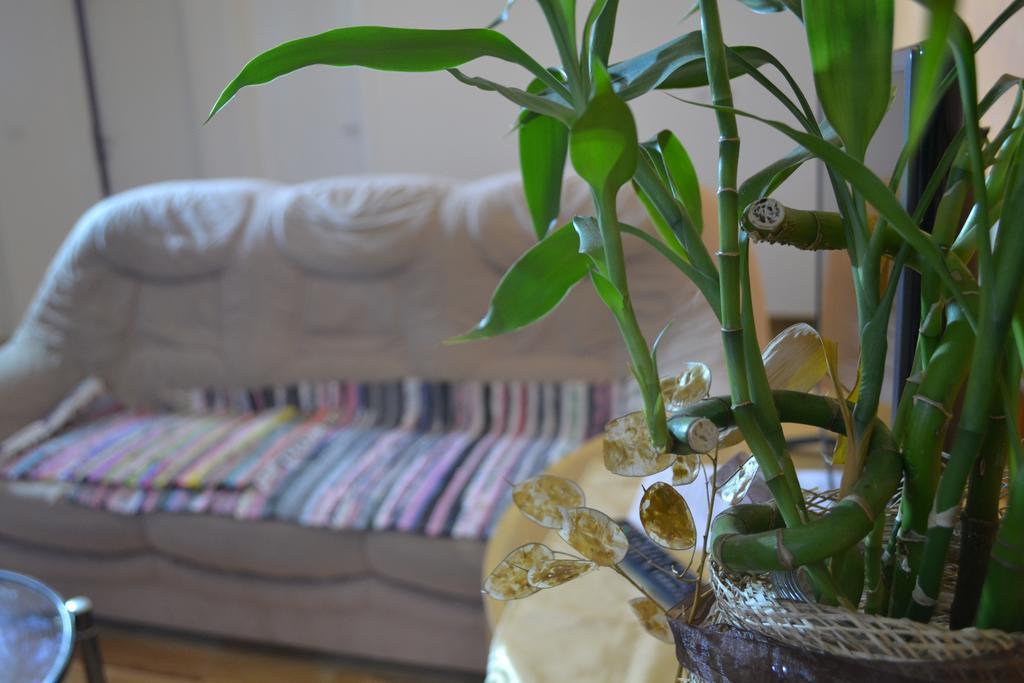 Airport Apartments Beograd Bagian luar foto