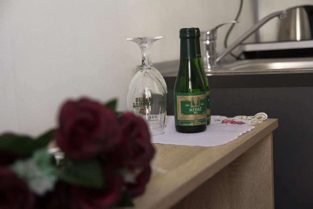Airport Apartments Beograd Bagian luar foto