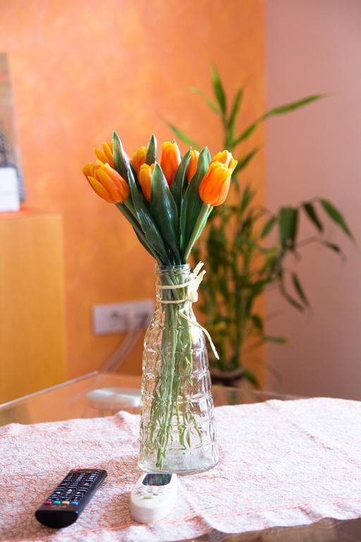 Airport Apartments Beograd Bagian luar foto